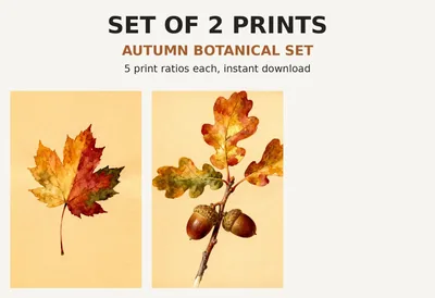 Autumn Botanical Print Set of 2, Printable Wall Art, Maple Leaf Acorn Branch Illustrations, Fall Farmhouse Decor Digital Download shown as a preview of the print set